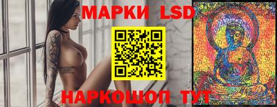 крисы Магадан