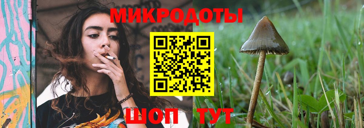 Галлюциногенные грибы мухоморы Ефремов