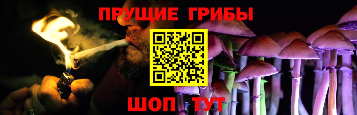 Ефремов  Галлюциногенные грибы Psilocybe  Вход с VPN 